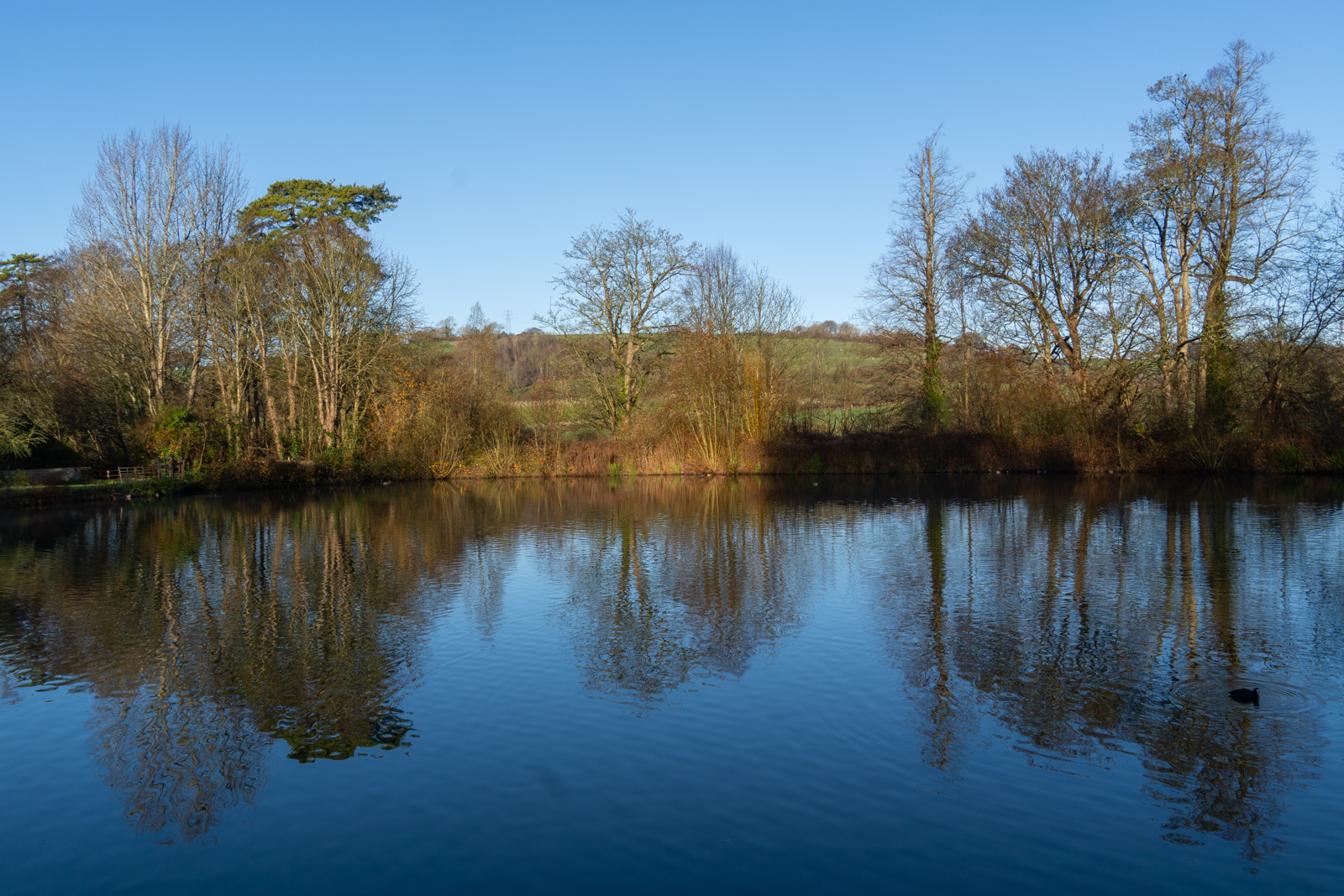 Photography by Chris Allington